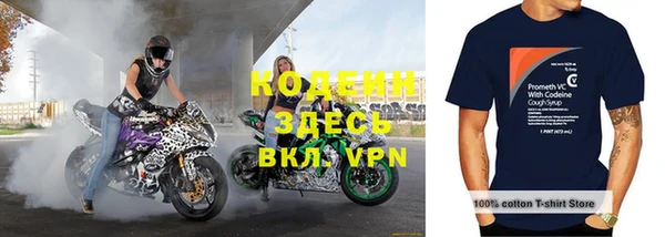 гашик Нефтекумск