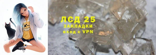 гашик Нефтекумск