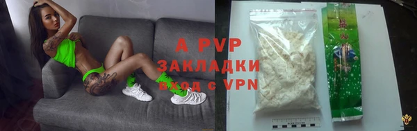 гашик Нефтекумск