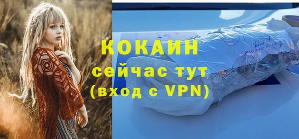 каннабис Новозыбков