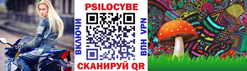 где купить наркотик  Змеиногорск  Псилоцибиновые грибы ЛСД 